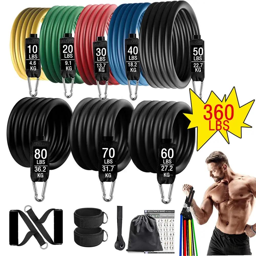 360lbs Fitness Resistance Bands Set – Ultimate Home Workout Kit - WILKYs