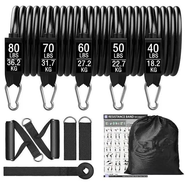 360lbs Fitness Resistance Bands Set – Ultimate Home Workout Kit - WILKYs