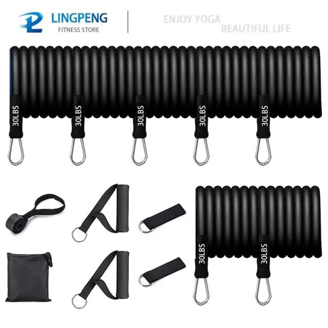 Fitness Resistance Elastic Bands Set – 5 Levels for Full - Body Training - WILKYs