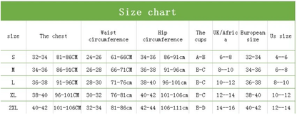 Vintage One Piece Swimsuit Female Long Sleeve Swimwear Women Plus Size Bathing Suit Print Bandage Summer Bathers Monokini - WILKYs